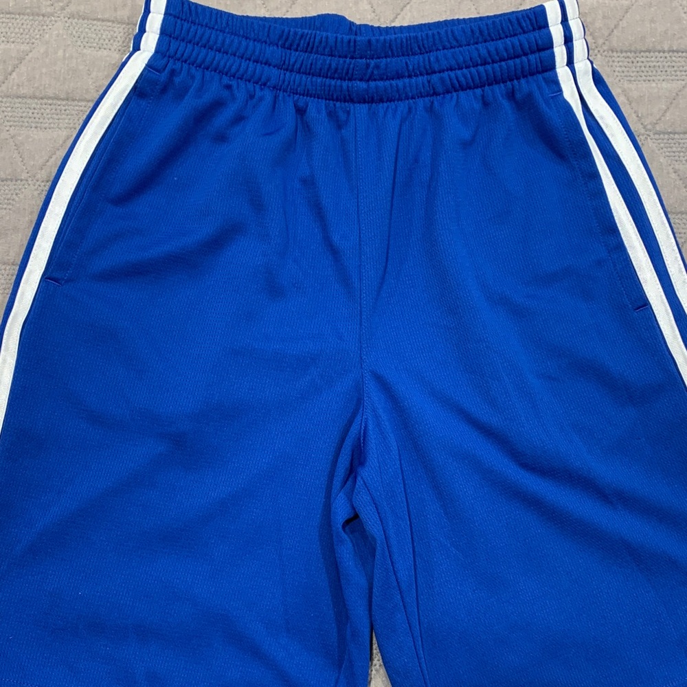 Blue Athletic Track shorts with White Stripes